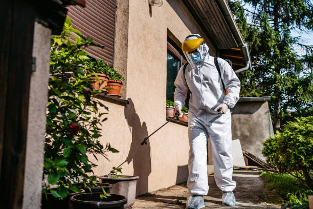 Best Insect Control  in Cherryvale, KS