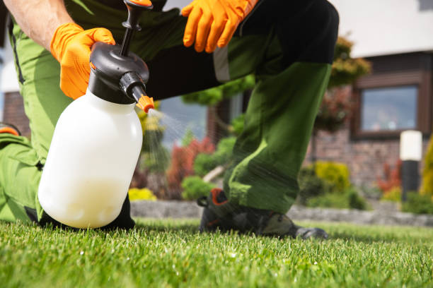 Best Residential Pest Control  in Cherryvale, KS