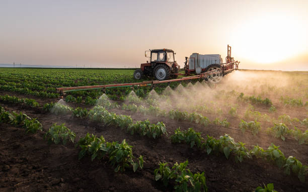 Best Pest Prevention Services  in Cherryvale, KS