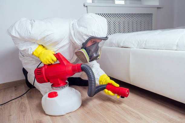 Best Flea Control Services  in Cherryvale, KS