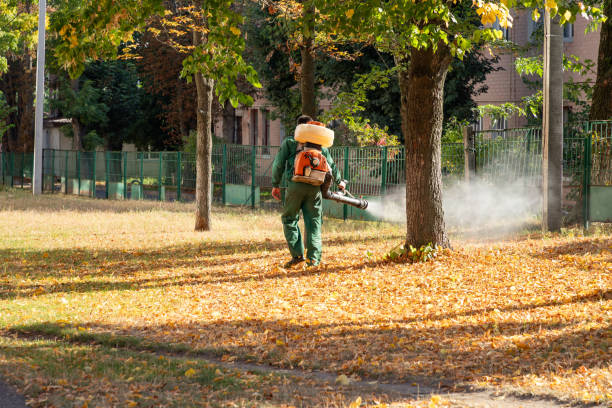 Best Wasp Removal Services  in Cherryvale, KS